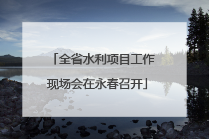 全省水利项目工作现场会在永春召开