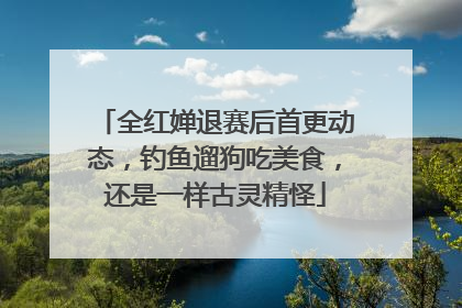 全红婵退赛后首更动态，钓鱼遛狗吃美食，还是一样古灵精怪