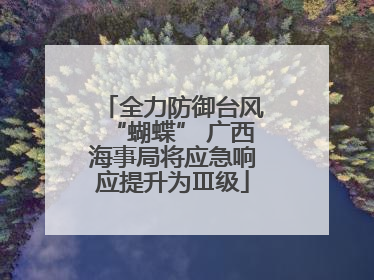 全力防御台风“蝴蝶” 广西海事局将应急响应提升为Ⅲ级