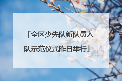 全区少先队新队员入队示范仪式昨日举行