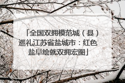 全国双拥模范城（县）巡礼江苏省盐城市：红色盐阜绘就双拥宏图