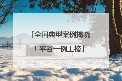 全国典型案例揭晓！平谷一例上榜
