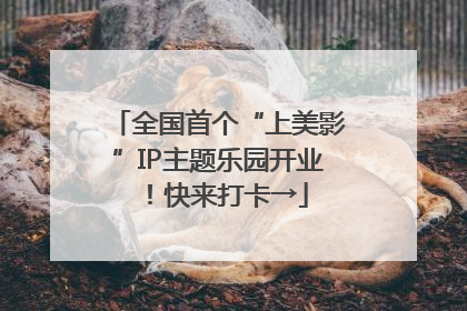 全国首个“上美影”IP主题乐园开业！快来打卡→