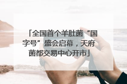 全国首个羊肚菌“国字号”盛会启幕，天府菌都交易中心开市