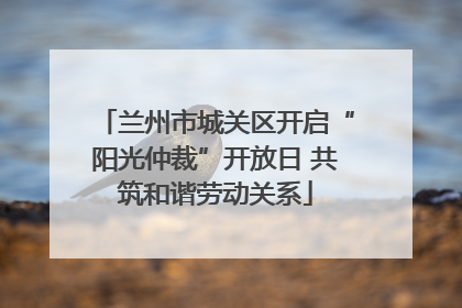 兰州市城关区开启“阳光仲裁”开放日 共筑和谐劳动关系