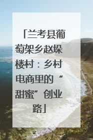 兰考县葡萄架乡赵垛楼村：乡村电商里的“甜蜜”创业路