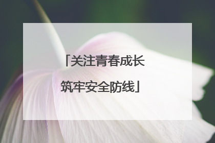 关注青春成长 筑牢安全防线