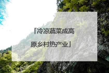 冷凉蔬菜成高原乡村热产业