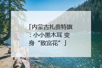 内蒙古扎赉特旗：小小黑木耳 变身“致富花”