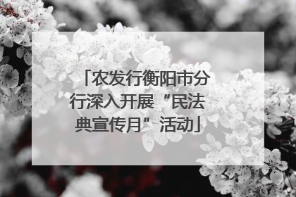 农发行衡阳市分行深入开展“民法典宣传月”活动
