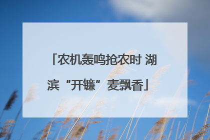 农机轰鸣抢农时 湖滨“开镰”麦飘香