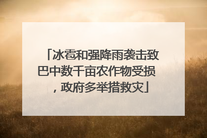 冰雹和强降雨袭击致巴中数千亩农作物受损，政府多举措救灾