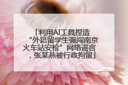 利用AI工具捏造 “外籍留学生强闯南京火车站安检”网络谣言，张某燕被行政拘留