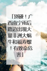 别碰！广西南宁雨后路边出现大量非洲大蜗牛和福寿螺！有致命危害