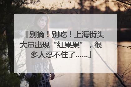 别摘！别吃！上海街头大量出现“红果果”，很多人忍不住了……