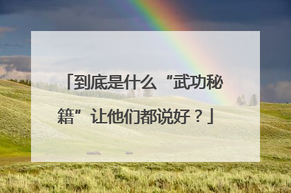到底是什么“武功秘籍”让他们都说好？