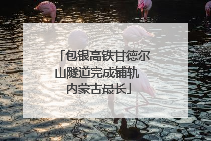 包银高铁甘德尔山隧道完成铺轨 内蒙古最长