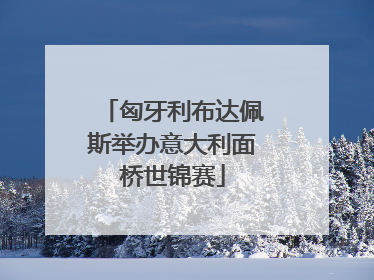 匈牙利布达佩斯举办意大利面桥世锦赛