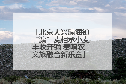 北京大兴瀛海镇“瀛”麦相承小麦丰收开镰 奏响农文旅融合新乐章