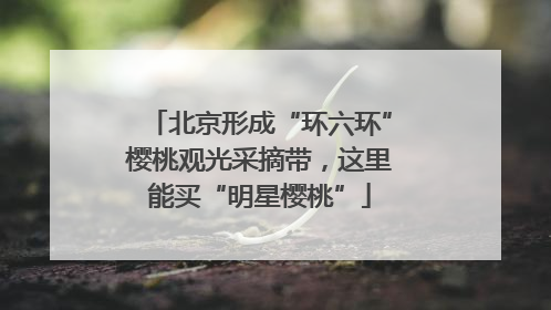 北京形成“环六环”樱桃观光采摘带，这里能买“明星樱桃”