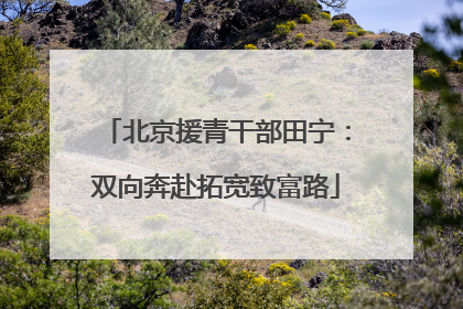 北京援青干部田宁：双向奔赴拓宽致富路