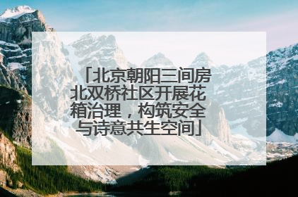 北京朝阳三间房北双桥社区开展花箱治理，构筑安全与诗意共生空间