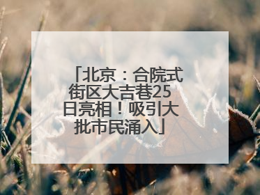 北京：合院式街区大吉巷25日亮相！吸引大批市民涌入