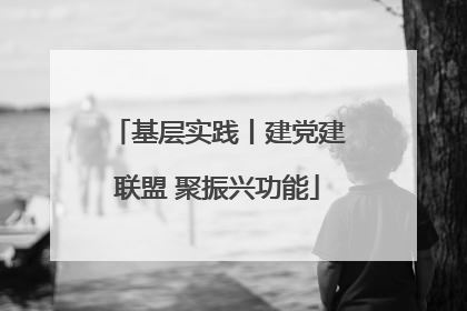 基层实践丨建党建联盟 聚振兴功能