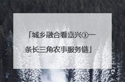 城乡融合看嘉兴③一条长三角农事服务链