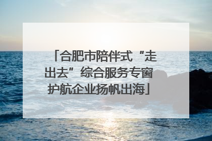 合肥市陪伴式“走出去”综合服务专窗护航企业扬帆出海