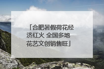 合肥暑假荷花经济红火 全国多地花艺文创销售旺