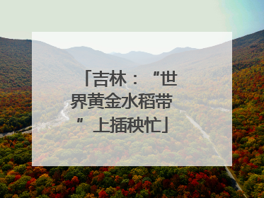 吉林：“世界黄金水稻带”上插秧忙