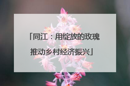 同江：用绽放的玫瑰 推动乡村经济振兴