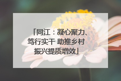 同江：凝心聚力、笃行实干 助推乡村振兴提质增效