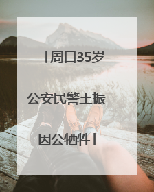 周口35岁公安民警王振因公牺牲