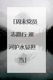 周末党员志愿行 巡河护水显担当