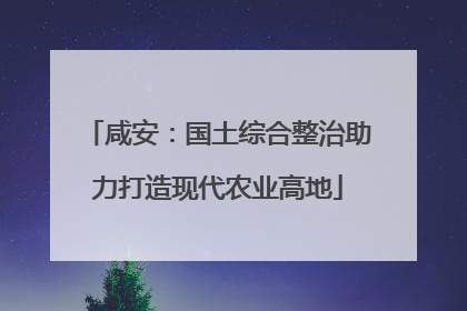 咸安：国土综合整治助力打造现代农业高地