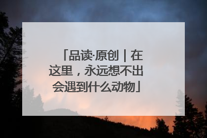 品读·原创｜在这里，永远想不出会遇到什么动物