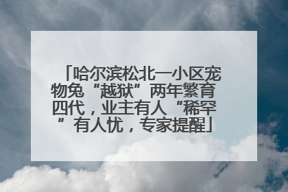 哈尔滨松北一小区宠物兔“越狱”两年繁育四代，业主有人“稀罕”有人忧，专家提醒