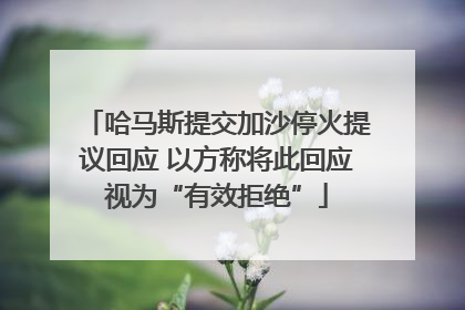 哈马斯提交加沙停火提议回应 以方称将此回应视为“有效拒绝”