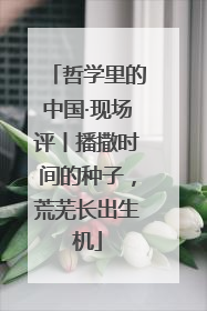哲学里的中国·现场评丨播撒时间的种子，荒芜长出生机