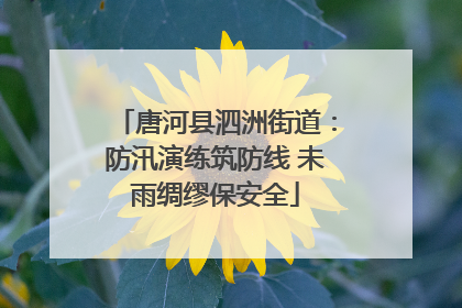 唐河县泗洲街道：防汛演练筑防线 未雨绸缪保安全