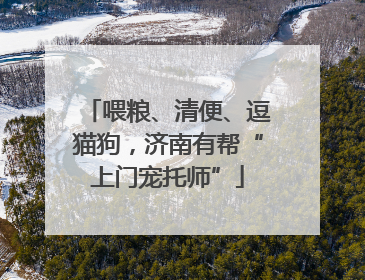 喂粮、清便、逗猫狗，济南有帮“上门宠托师”