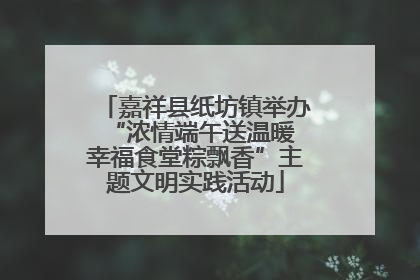 嘉祥县纸坊镇举办“浓情端午送温暖 幸福食堂粽飘香”主题文明实践活动