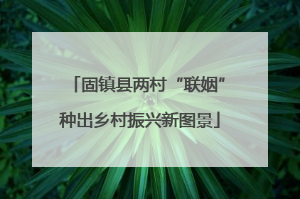 固镇县两村“联姻”种出乡村振兴新图景