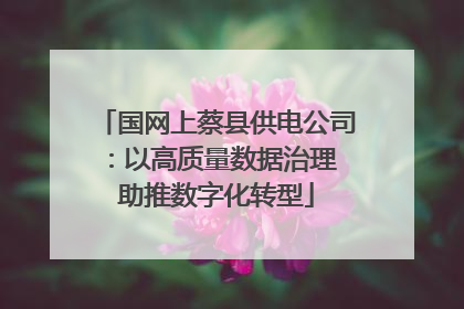 国网上蔡县供电公司：以高质量数据治理 助推数字化转型