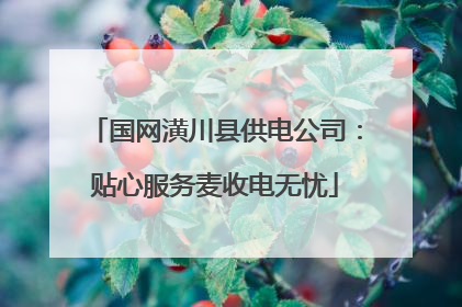 国网潢川县供电公司：贴心服务麦收电无忧