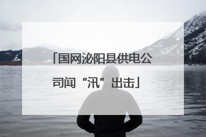 国网泌阳县供电公司闻“汛”出击