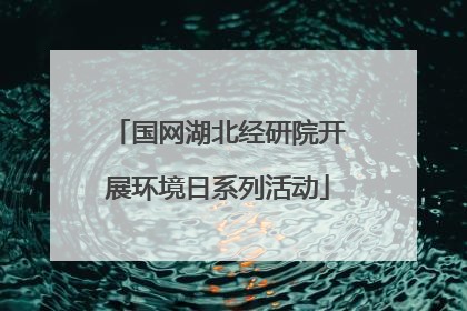 国网湖北经研院开展环境日系列活动