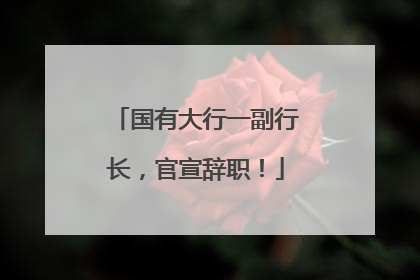 国有大行一副行长，官宣辞职！